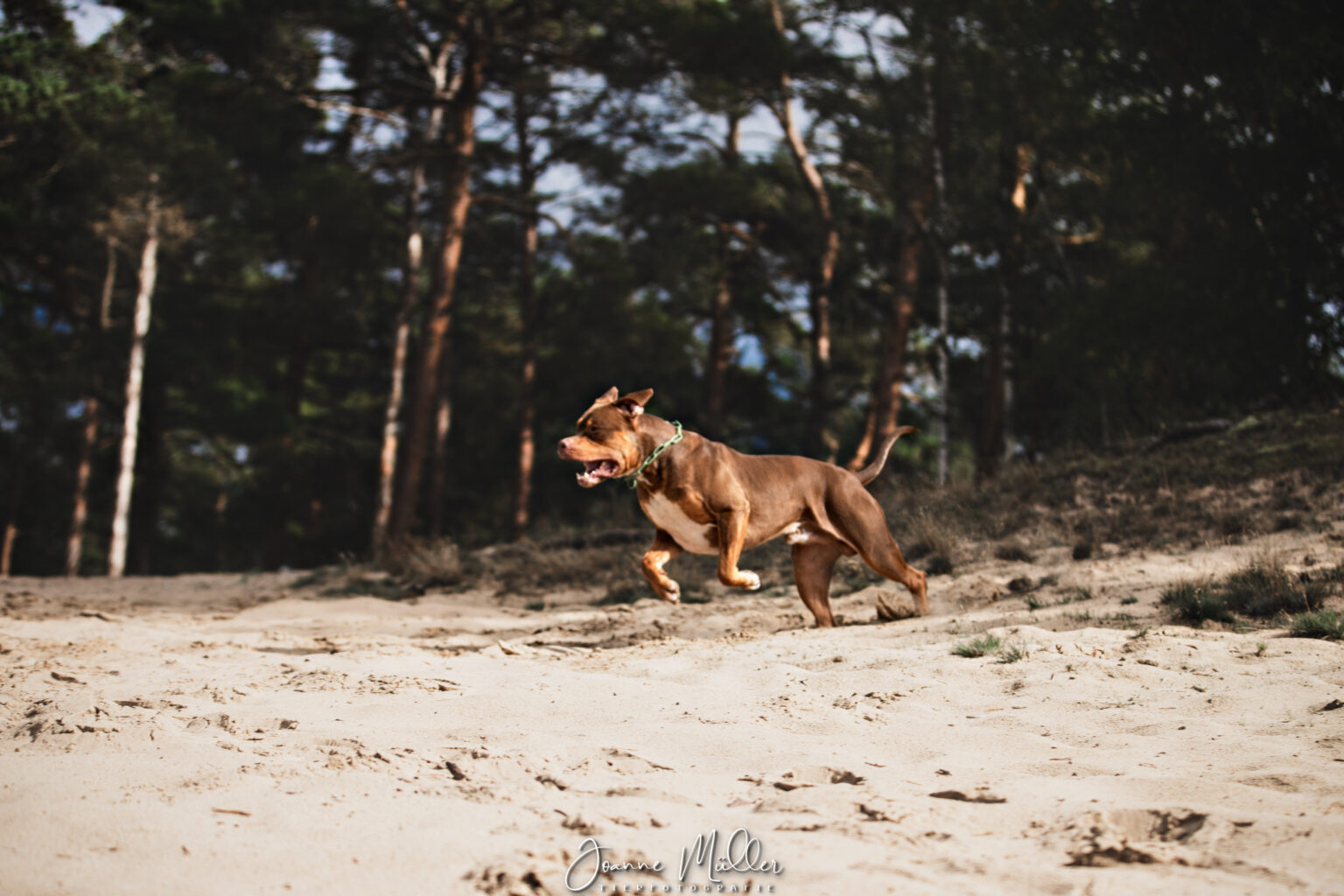 05890DF0-05B3-40F5-8EDA-304167DBE23F