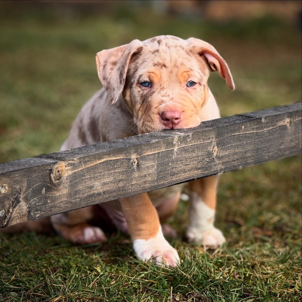 8697BDCD-2639-47B4-A7E8-33A91E6D666E