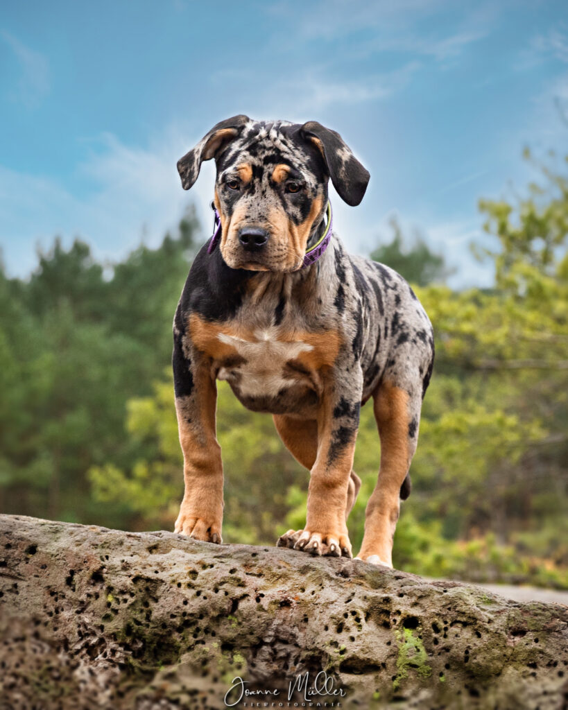 890CD418-890D-411A-A2FE-34545E33F9DC