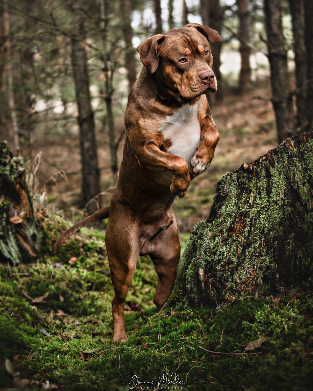 931B69B5-FEE1-4159-A6C0-93AF8005750E