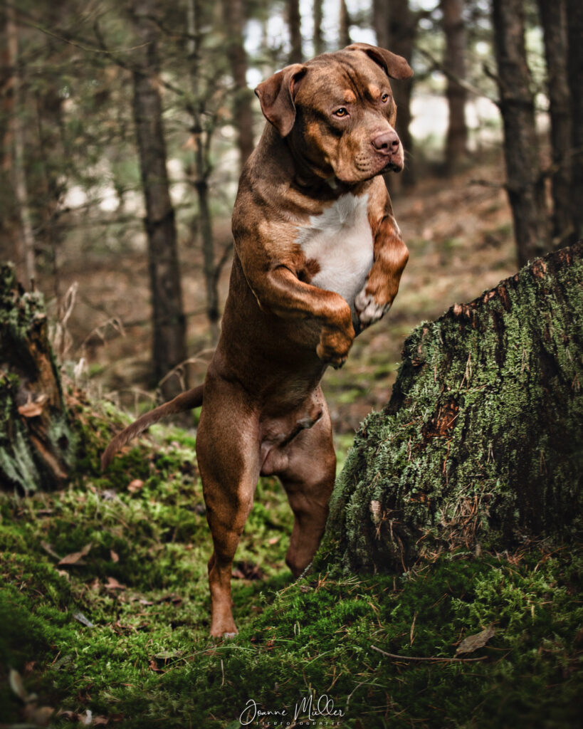 931B69B5-FEE1-4159-A6C0-93AF8005750E