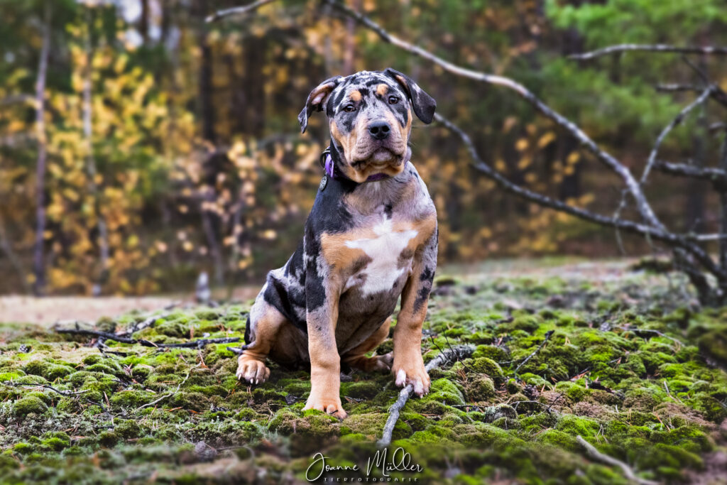 B38D5614-5661-4115-8D15-E4B17087A8DE