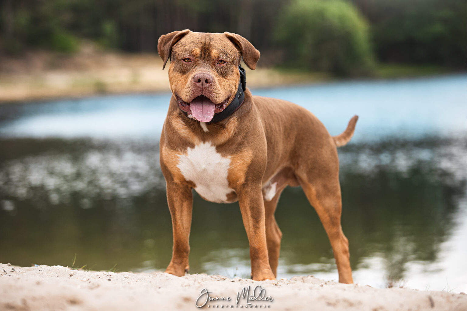 B4F769DA-1569-4087-B6B3-758DF123C447