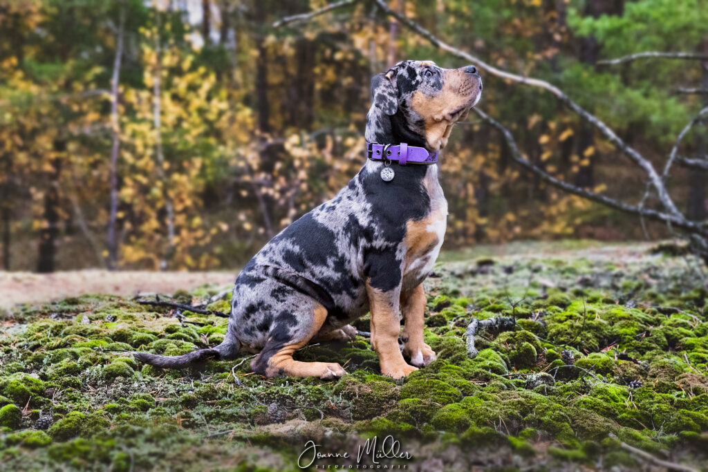 C5378349-F68A-4208-AB87-B836E1769B1C