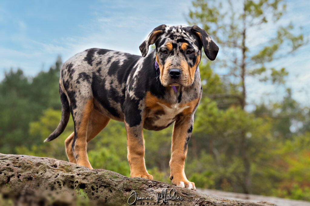 E7FB8A63-74A9-40A6-A3DB-AAB7BAB1CA01