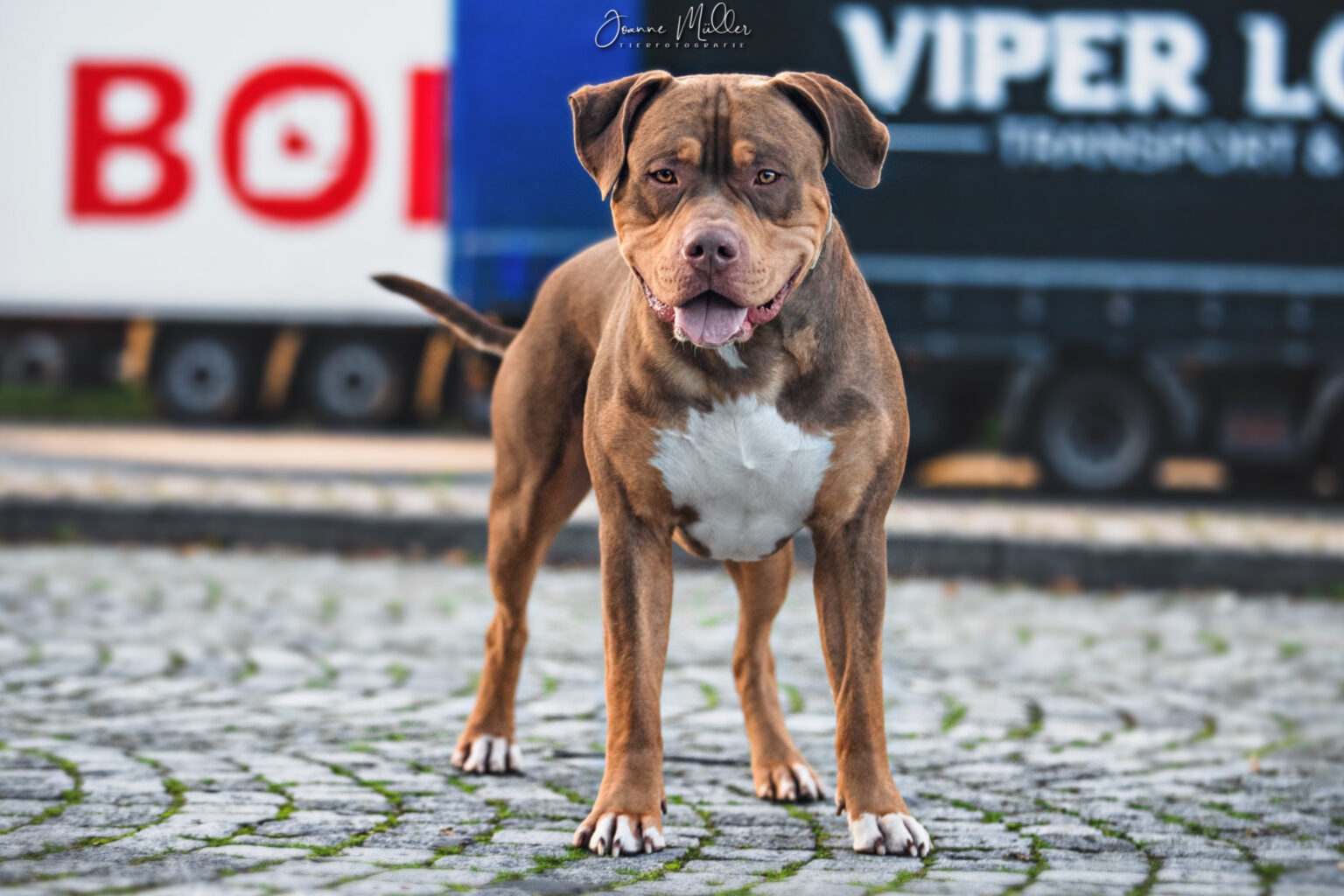 F281CAAD-1DA3-4A3F-B25B-E0A543E549A2