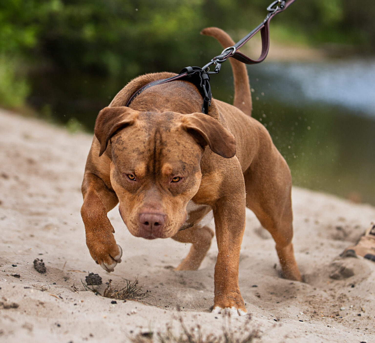 594ED350-495E-4B3E-9066-BD56573D9E90